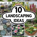 10 Landscaping Ideas