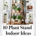 10 Plant Stand Indoor Ideas