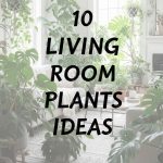 10 Living Room Plants Ideas